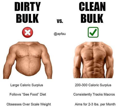 clean bulk results|How to Clean Bulk: The Nutritious Way of Building .